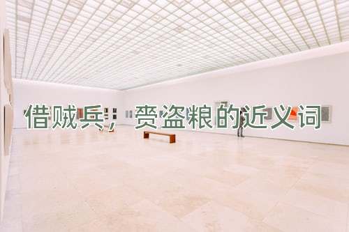 借贼兵，赍盗粮的近义词