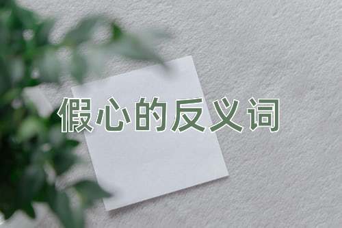 假心的反义词