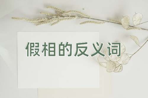 假相的反义词