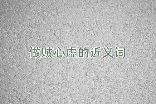 做贼心虚的近义词