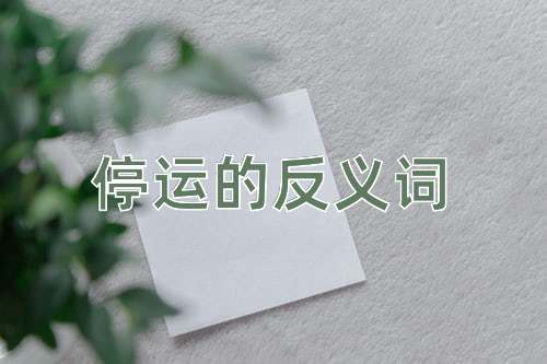 停运的反义词
