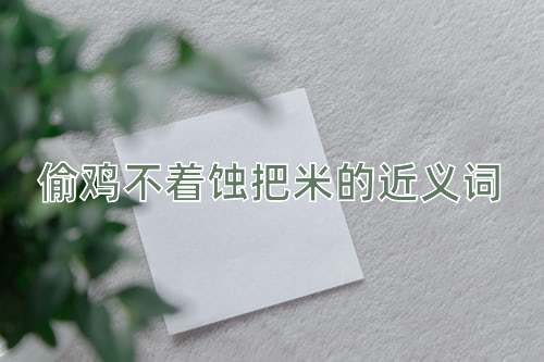 偷鸡不着蚀把米的近义词