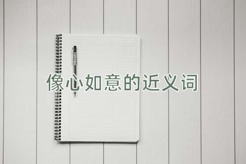 像心如意的近义词