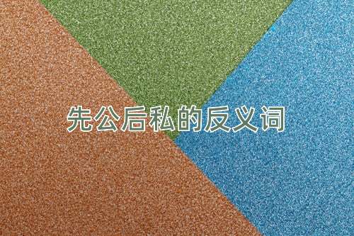 先公后私的反义词