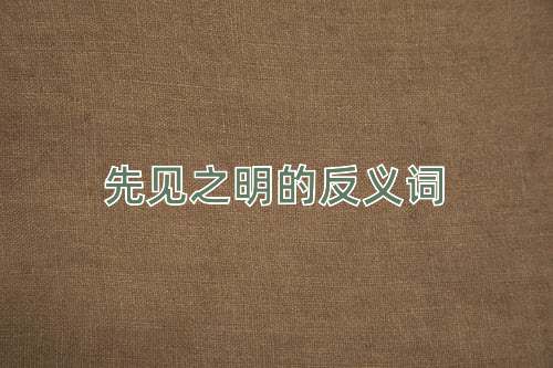 先见之明的反义词
