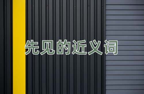 先见的近义词