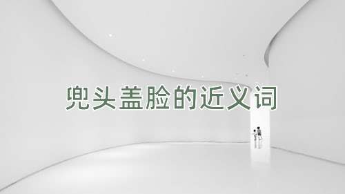 兜头盖脸的近义词