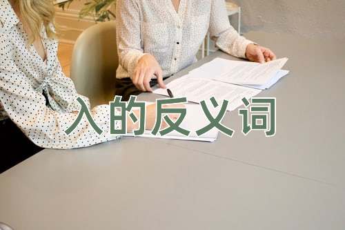 入的反义词
