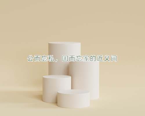公而忘私，国而忘家的近义词
