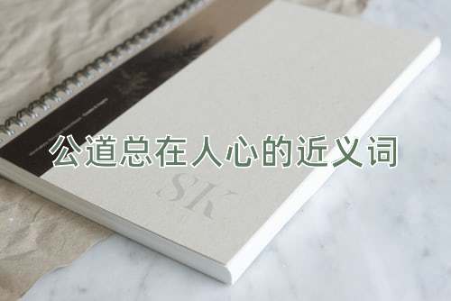公道总在人心的近义词