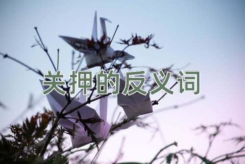 关押的反义词