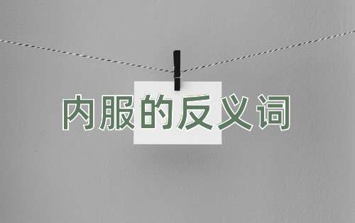 内服的反义词