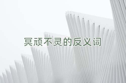 冥顽不灵的反义词