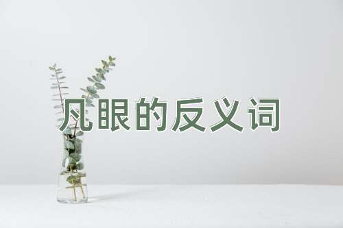凡眼的反义词