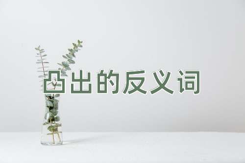 凸出的反义词