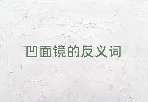 凹面镜的反义词