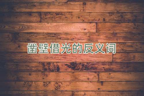 凿壁借光的反义词