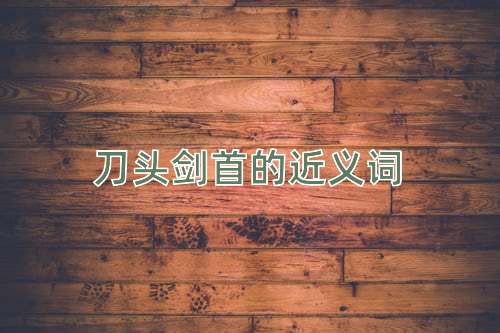 刀头剑首的近义词