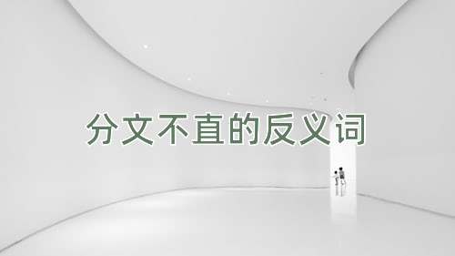 分文不直的反义词