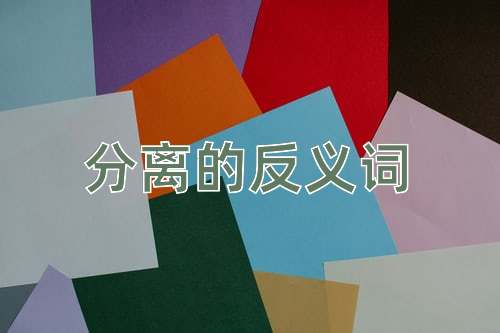 分离的反义词