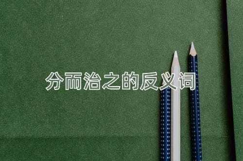 分而治之的反义词