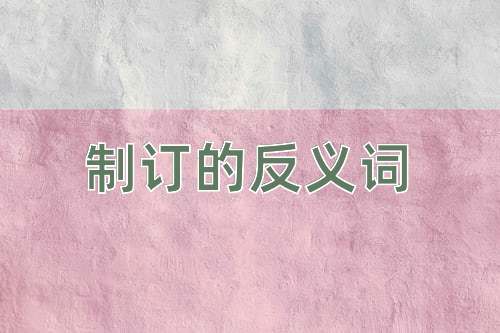 制订的反义词