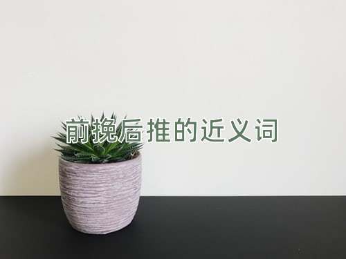 前挽后推的近义词