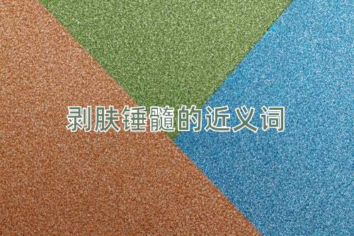 剥肤锤髓的近义词