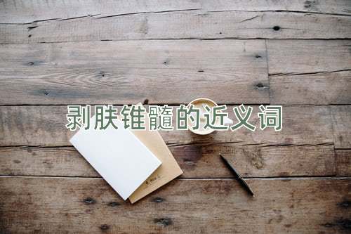 剥肤锥髓的近义词