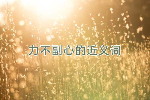 力不副心的近义词