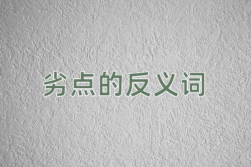 劣点的反义词