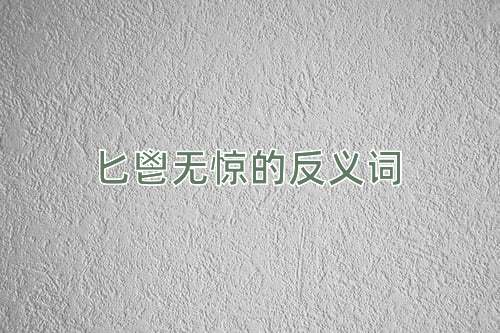 匕鬯无惊的反义词