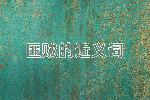匪贼的近义词