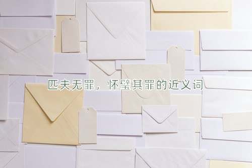 匹夫无罪，怀璧其罪的近义词