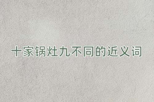 十家锅灶九不同的近义词