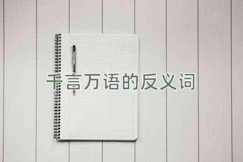 千言万语的反义词