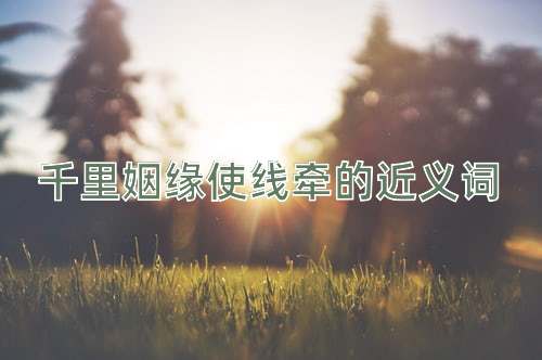 千里姻缘使线牵的近义词