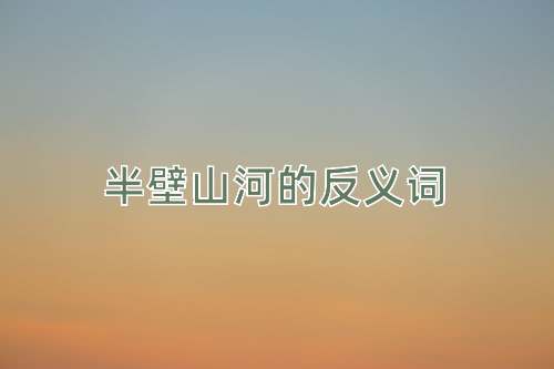 半壁山河的反义词