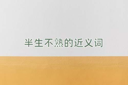 半生不熟的近义词