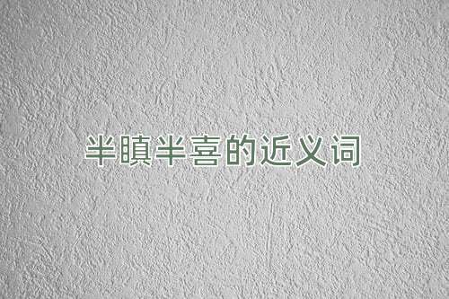 半瞋半喜的近义词
