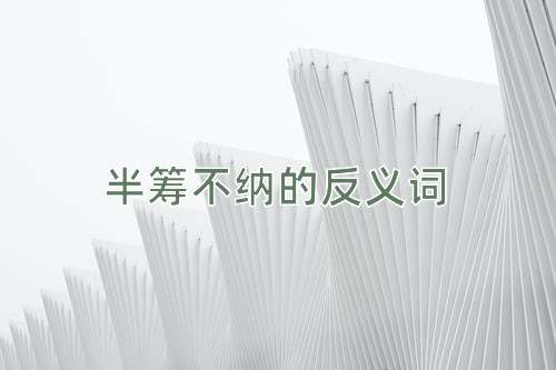 半筹不纳的反义词