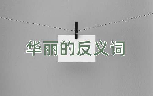 华丽的反义词