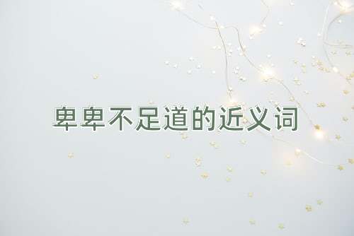 卑卑不足道的近义词