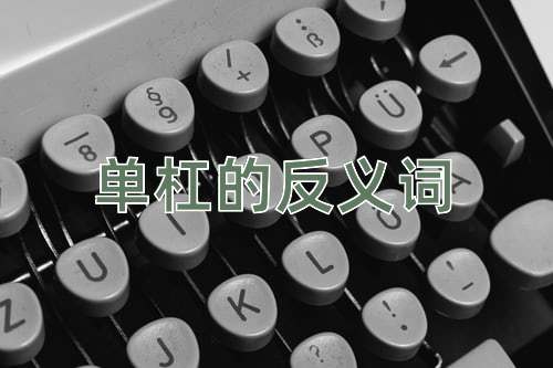 单杠的反义词