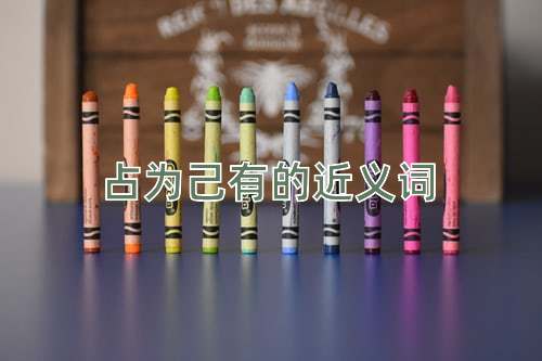 占为己有的近义词
