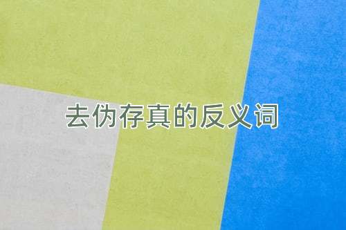 去伪存真的反义词