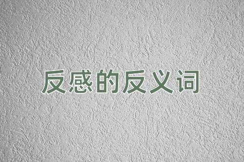 反感的反义词