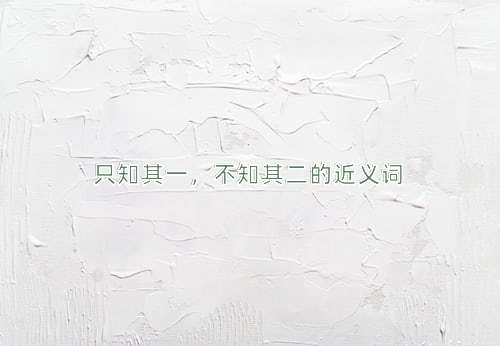 只知其一，不知其二的近义词