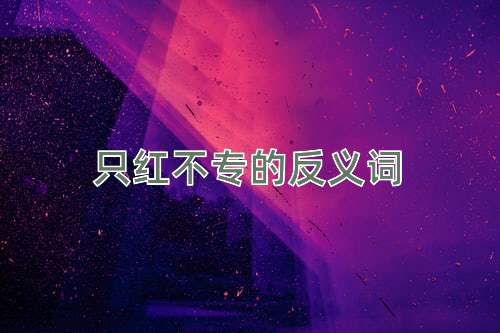 只红不专的反义词
