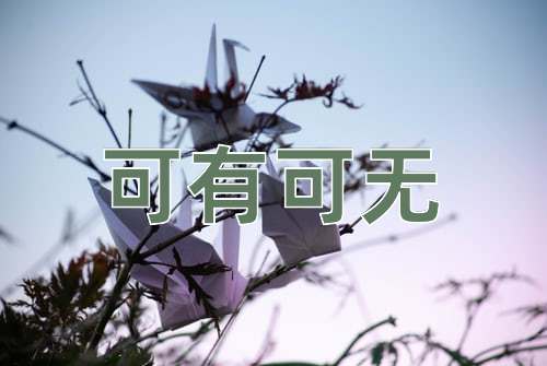 成语可有可无